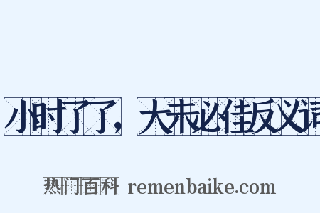 小时了了，大未必佳反义词是什么意思的图片